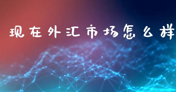 现在外汇市场怎么样_https://wap.sdxiaoxijinshu.com_财经_第1张