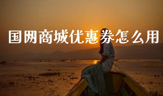 国网商城优惠券怎么用_https://wap.sdxiaoxijinshu.com_金融_第1张