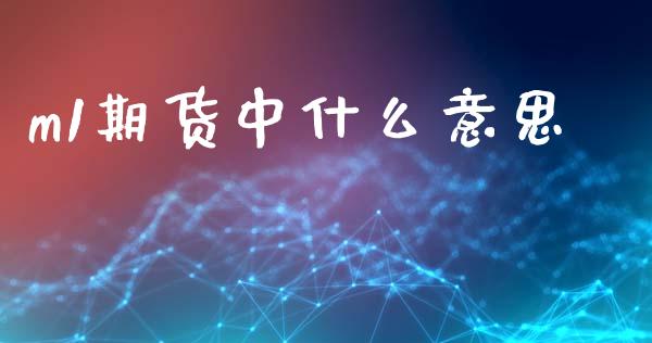 m1期货中什么意思_https://wap.sdxiaoxijinshu.com_期货_第1张