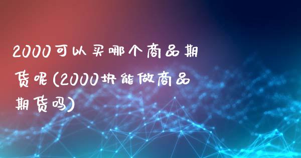 2000可以买哪个商品期货呢(2000块能做商品期货吗)_https://wap.sdxiaoxijinshu.com_金融_第1张