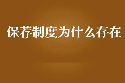 保荐制度为什么存在_https://wap.sdxiaoxijinshu.com_金融_第1张