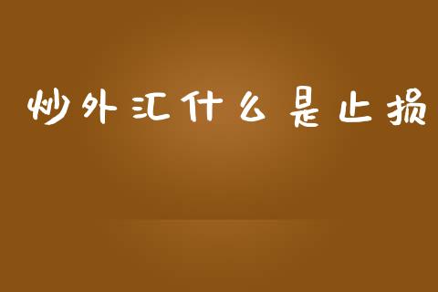 炒外汇什么是止损_https://wap.sdxiaoxijinshu.com_财经_第1张