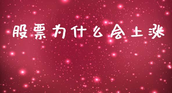股票为什么会上涨_https://wap.sdxiaoxijinshu.com_金融_第1张