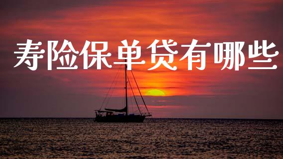 寿险保单贷有哪些_https://wap.sdxiaoxijinshu.com_理财_第1张