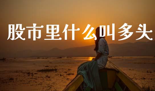 股市里什么叫多头_https://wap.sdxiaoxijinshu.com_期货_第1张