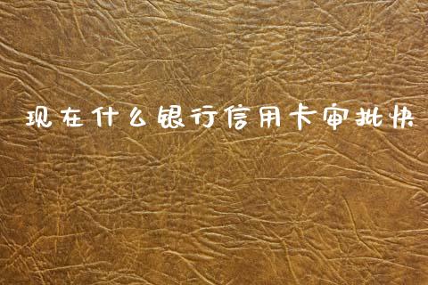 现在什么银行信用卡审批快_https://wap.sdxiaoxijinshu.com_金融_第1张
