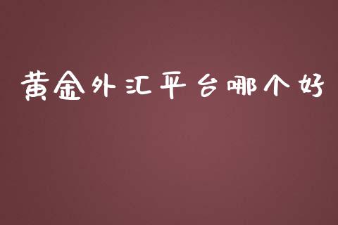黄金外汇平台哪个好_https://wap.sdxiaoxijinshu.com_财经_第1张
