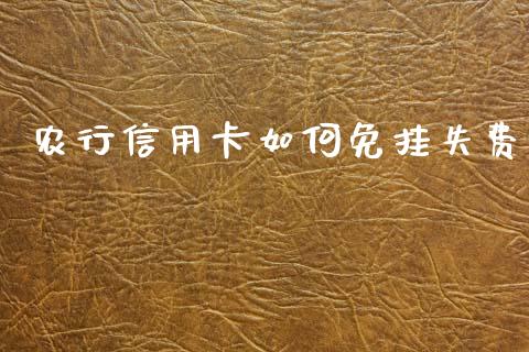 农行信用卡如何免挂失费_https://wap.sdxiaoxijinshu.com_理财_第1张