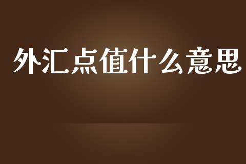 外汇点值什么意思_https://wap.sdxiaoxijinshu.com_财经_第1张