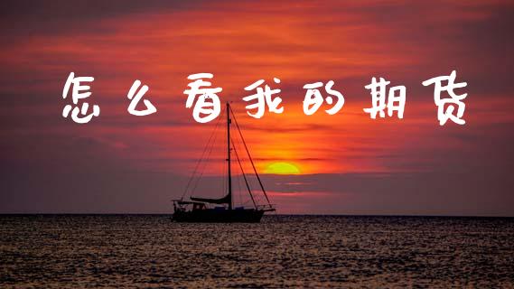怎么看我的期货_https://wap.sdxiaoxijinshu.com_期货_第1张
