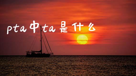 pta中ta是什么_https://wap.sdxiaoxijinshu.com_期货_第1张