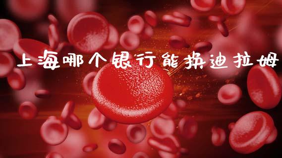 上海哪个银行能换迪拉姆_https://wap.sdxiaoxijinshu.com_财经_第1张