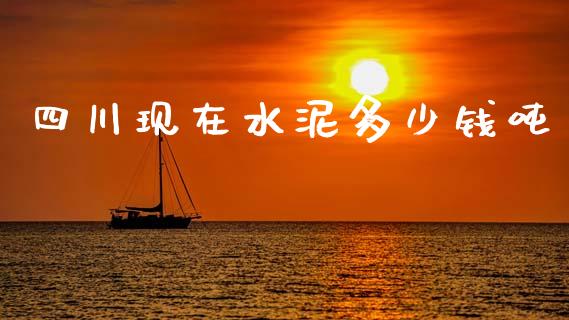 四川现在水泥多少钱吨_https://wap.sdxiaoxijinshu.com_财经_第1张