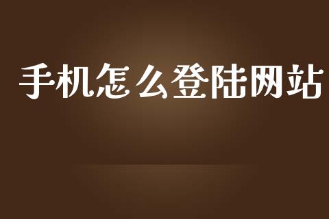 手机怎么登陆网站_https://wap.sdxiaoxijinshu.com_金融_第1张