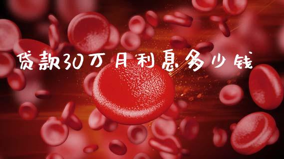 贷款30万月利息多少钱_https://wap.sdxiaoxijinshu.com_理财_第1张