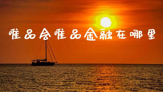 唯品会唯品金融在哪里_https://wap.sdxiaoxijinshu.com_财经_第1张