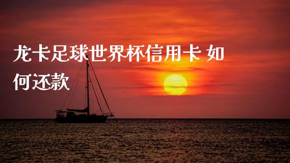 龙卡足球世界杯信用卡 如何还款_https://wap.sdxiaoxijinshu.com_理财_第1张