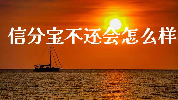 信分宝不还会怎么样_https://wap.sdxiaoxijinshu.com_理财_第1张