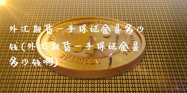 外汇期货一手保证金是多少钱(外汇期货一手保证金是多少钱啊)_https://wap.sdxiaoxijinshu.com_财经_第1张