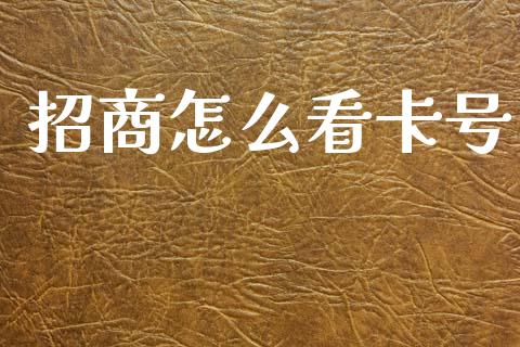 招商怎么看卡号_https://wap.sdxiaoxijinshu.com_金融_第1张