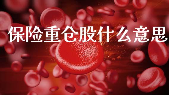 保险重仓股什么意思_财经_第1张_金融万问站 保险重仓股什么意思_https://wap.sdxiaoxijinshu.com_财经_第1张