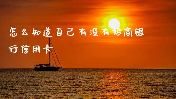 怎么知道自己有没有招商银行信用卡_https://wap.sdxiaoxijinshu.com_金融_第1张