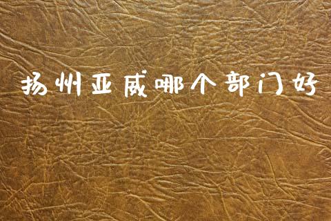 扬州亚威哪个部门好_https://wap.sdxiaoxijinshu.com_期货_第1张