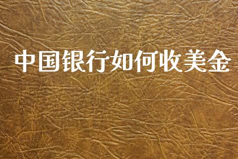 中国银行如何收美金_https://wap.sdxiaoxijinshu.com_财经_第1张