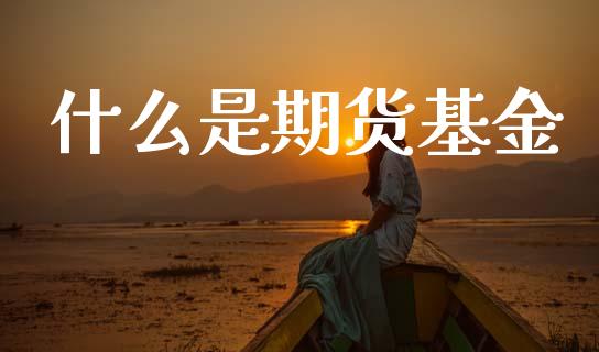 什么是期货基金_https://wap.sdxiaoxijinshu.com_理财_第1张