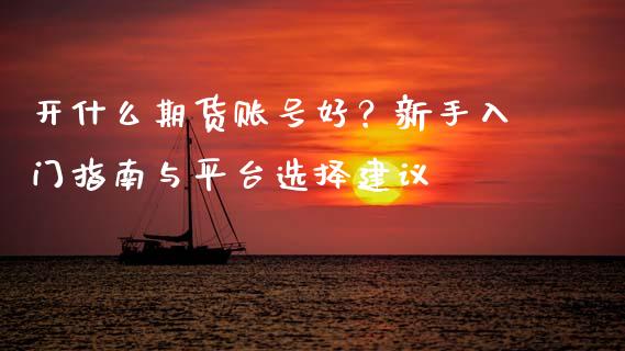 开什么期货账号好？新手入门指南与平台选择建议_https://wap.sdxiaoxijinshu.com_理财_第1张