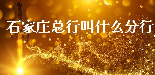 石家庄总行叫什么分行_https://wap.sdxiaoxijinshu.com_理财_第1张