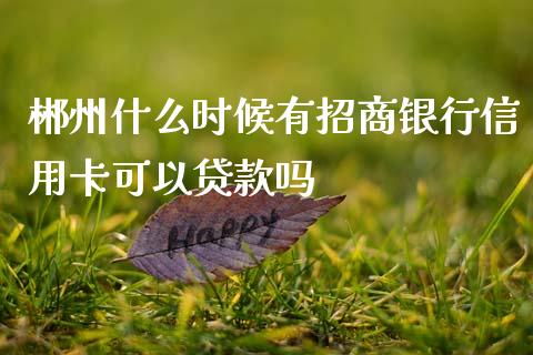 郴州什么时候有招商银行信用卡可以贷款吗_https://wap.sdxiaoxijinshu.com_金融_第1张