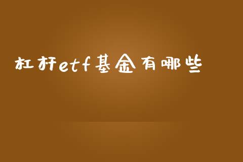 杠杆etf基金有哪些_https://wap.sdxiaoxijinshu.com_理财_第1张