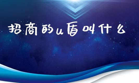 招商的u盾叫什么_https://wap.sdxiaoxijinshu.com_金融_第1张