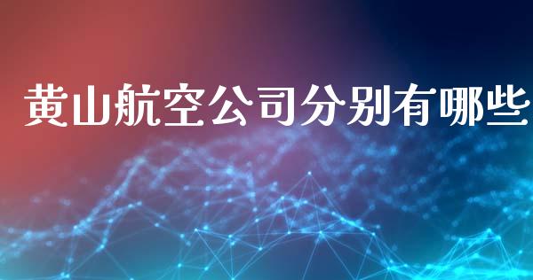 黄山航空公司分别有哪些_https://wap.sdxiaoxijinshu.com_期货_第1张