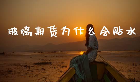 玻璃期货为什么会贴水_https://wap.sdxiaoxijinshu.com_期货_第1张