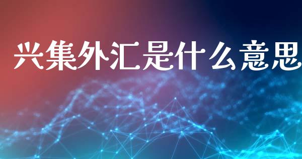 兴集外汇是什么意思_https://wap.sdxiaoxijinshu.com_财经_第1张