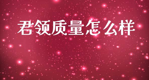 君领质量怎么样_https://wap.sdxiaoxijinshu.com_财经_第1张