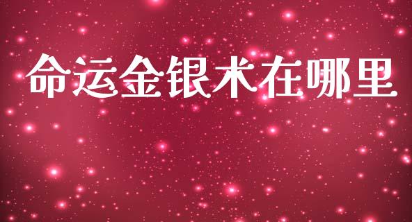 命运金银术在哪里_https://wap.sdxiaoxijinshu.com_财经_第1张