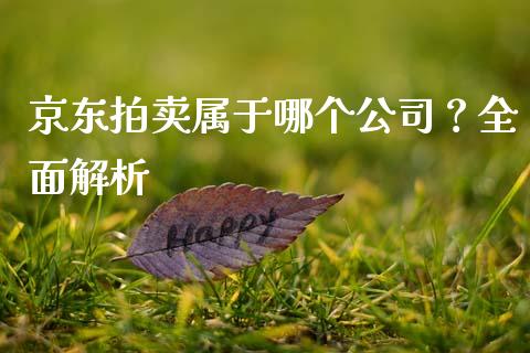 京东拍卖属于哪个公司？全面解析_https://wap.sdxiaoxijinshu.com_期货_第1张