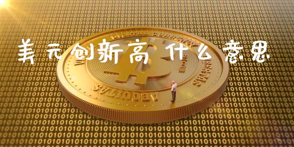 美元创新高 什么意思_https://wap.sdxiaoxijinshu.com_财经_第1张