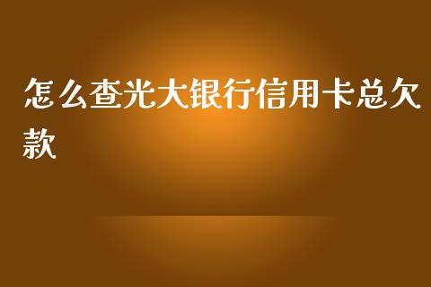 怎么查光大银行信用卡总欠款_https://wap.sdxiaoxijinshu.com_金融_第1张