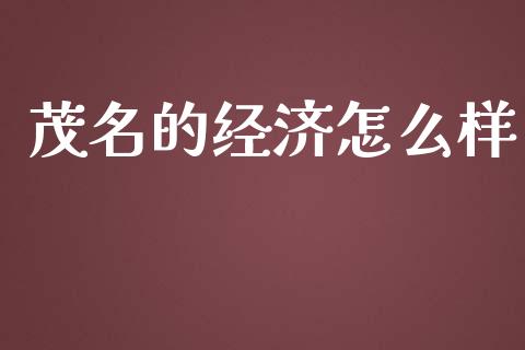 茂名的经济怎么样_https://wap.sdxiaoxijinshu.com_财经_第1张
