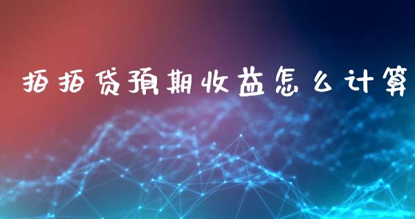 拍拍贷预期收益怎么计算_https://wap.sdxiaoxijinshu.com_理财_第1张