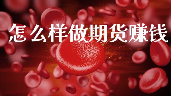 怎么样做期货赚钱_https://wap.sdxiaoxijinshu.com_期货_第1张