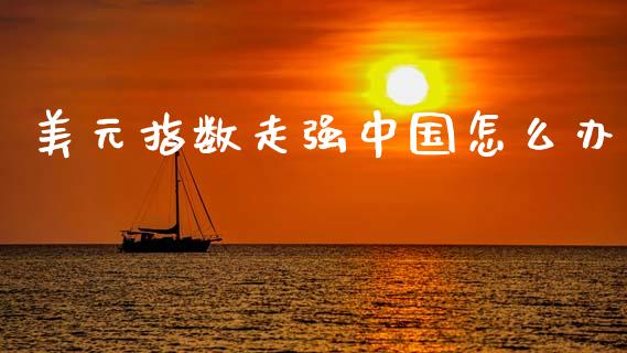 美元指数走强中国怎么办_https://wap.sdxiaoxijinshu.com_财经_第1张