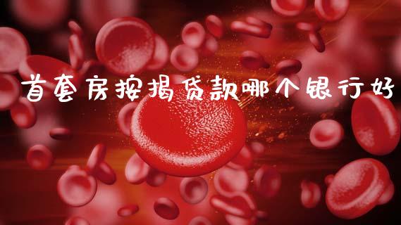 首套房按揭贷款哪个银行好_https://wap.sdxiaoxijinshu.com_理财_第1张