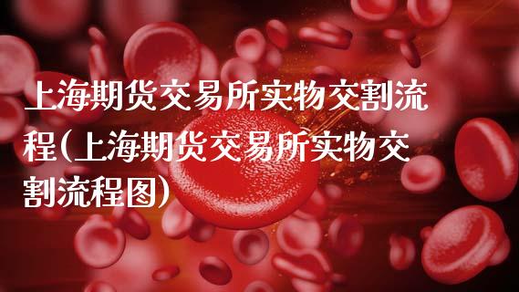 上海期货交易所实物交割流程(上海期货交易所实物交割流程图)_https://wap.sdxiaoxijinshu.com_财经_第1张