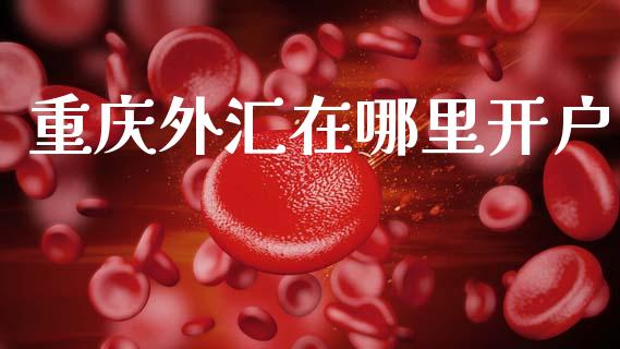 重庆外汇在哪里开户_https://wap.sdxiaoxijinshu.com_财经_第1张