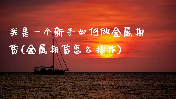 我是一个新手如何做金属期货(金属期货怎么操作)_https://wap.sdxiaoxijinshu.com_理财_第1张